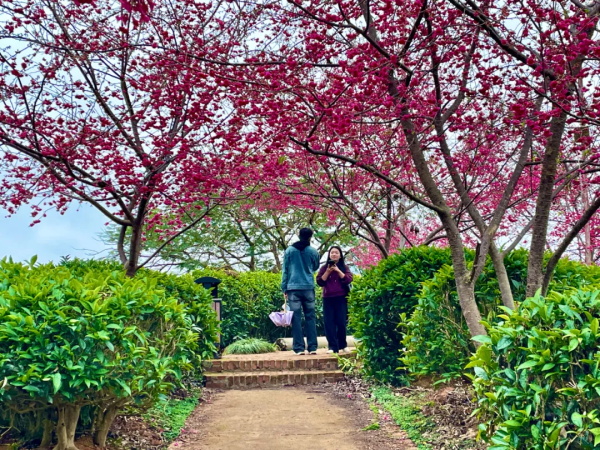 ����+����=������ζ�����Ϸ��޶���ζȫ�������պã�������Բ�·�ʽ~