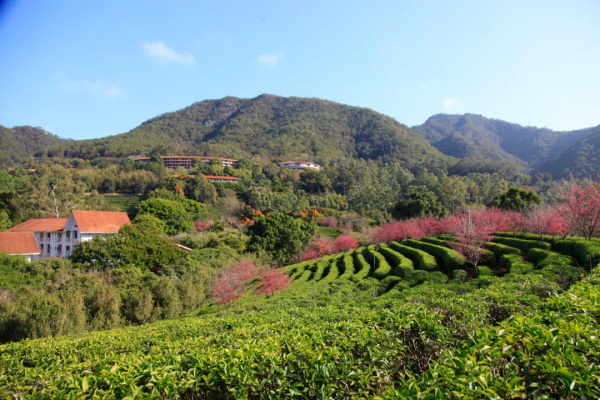 �������������Ŷӡ���ס���Ϸ�Χ����Ƶ������������ɽӣ��԰�ͻ�ȯ��ר��������ӣ�����¡�