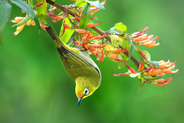 ��������Ϯ��������÷��&nbsp;�����Ϸ�&nbsp;�ػ����顱���Ϸ�����������Ӱ�����������������ʱ��